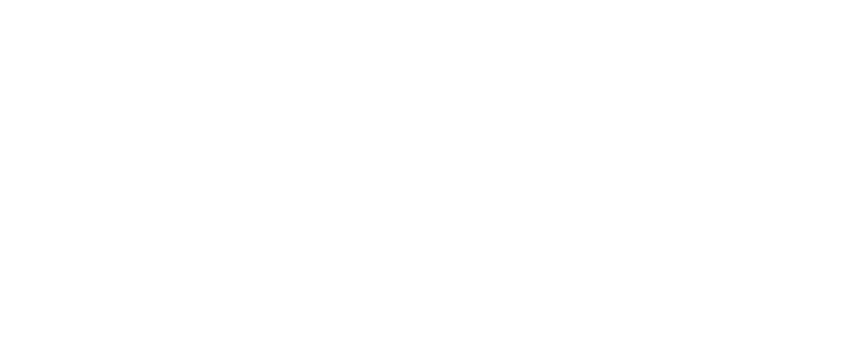 TU Delft - VideoMatic client
